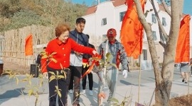 Tập đoàn BRG trồng gần 1,1 triệu cây xanh trên toàn quốc