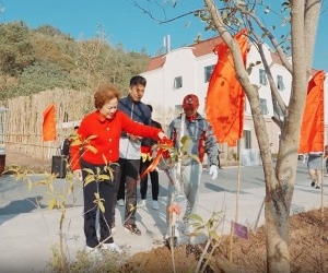 Tập đoàn BRG trồng gần 1,1 triệu cây xanh trên toàn quốc