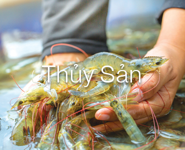 Thủy sản